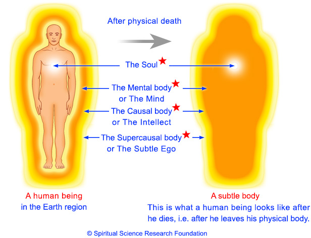 What Happens After Death Social Asian Boys Heaven Powered By Discuz 