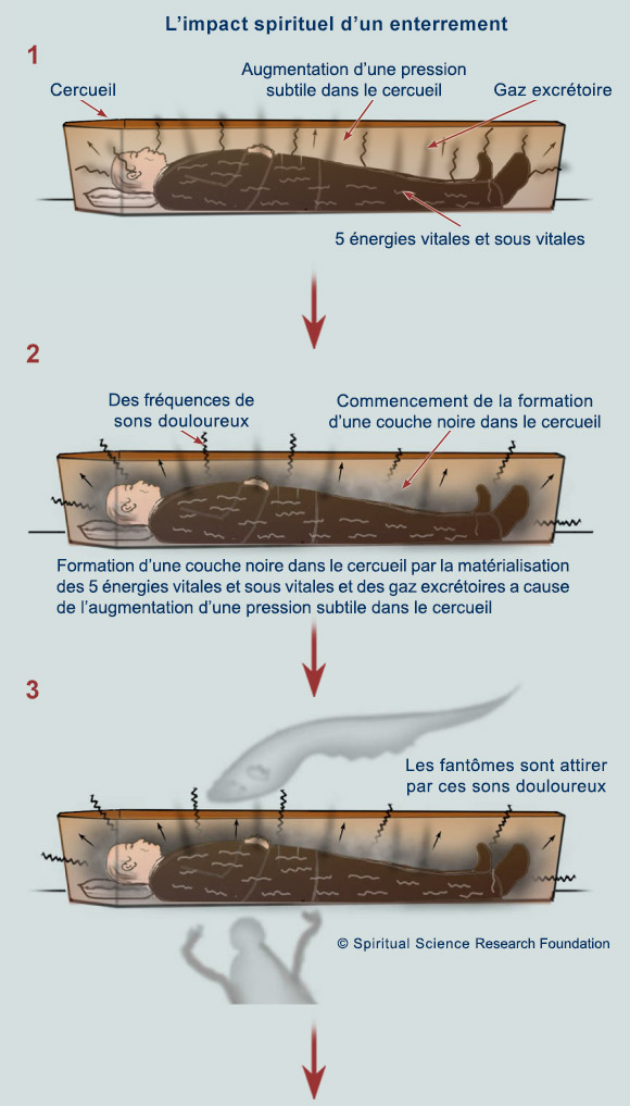 Decomposition D Un Corps Dans Un Cercueil Video Incineration ou enterrement; Enterrements et l’incinération