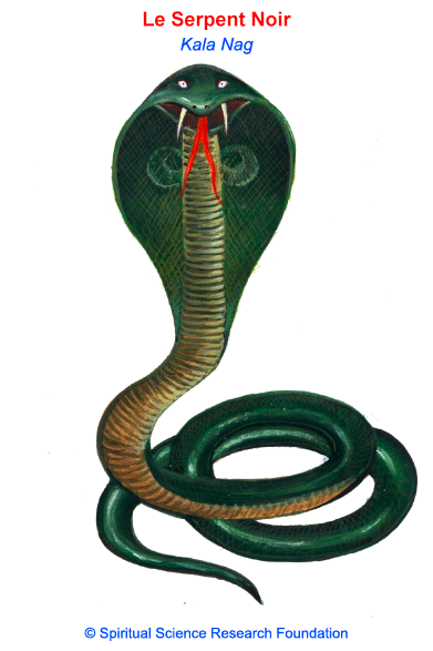 Le Serpent Noir