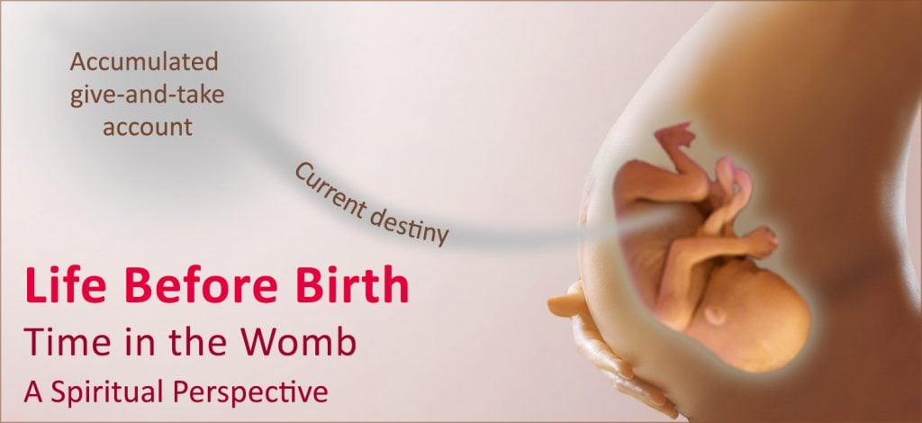 life-before-birth-time-in-the-womb